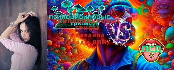 СК Бородино