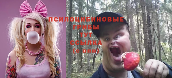 СК Бородино