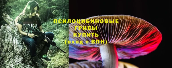 СК Бородино