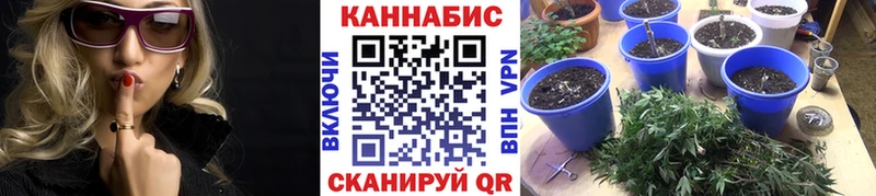 Канабис тримм  где можно купить наркотик  Саратов 